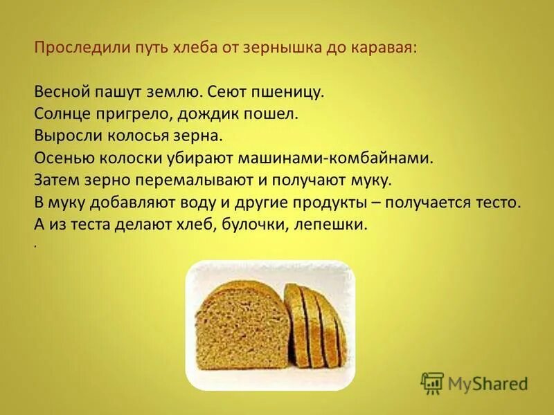 Путь хлеба презентация. От зернышка до хлеба. От зерна до каравая картинки. От зернышка до каравая. От зернышка до каравая.