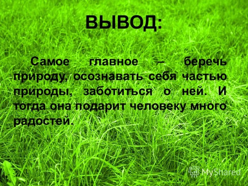 Природа и мы 4 класс обобщение презентация. Вывод на тему природа. Вывод беречь природу. Вывод береги природу. Вывод на тему берегите природу.