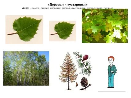 Найди слова листва