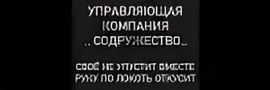 Болят ли у массажистов руки. Протяни руку откусят по локоть. Протяни руку откусят по локоть. Протяни руку откусят по локоть. Рука до локтя.