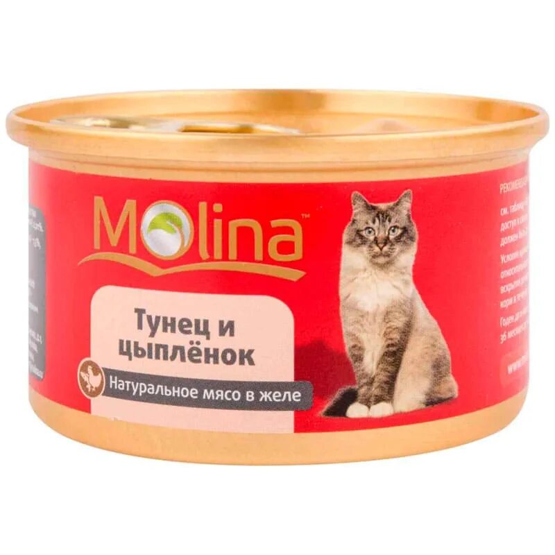 Молина корм для кошек. Влажный корм Молина. Консервы Molina для кошек и котят с цыпленком в желе (70 гр х 12 шт). Molina для взрослых кошек с лососем и тунцом в желе м6119 (70 гр х 12 шт). Мясо для кошек купить