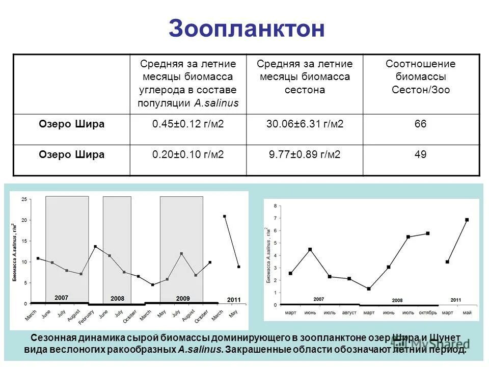 Численность зоопланктона. Сезонная динамика. Сезонная динамика развития зоопланктона,. Меромиктических водоемах. Зоопланктон характеристика.