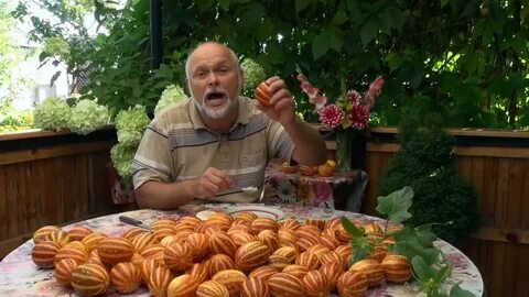 Дыня насреддин