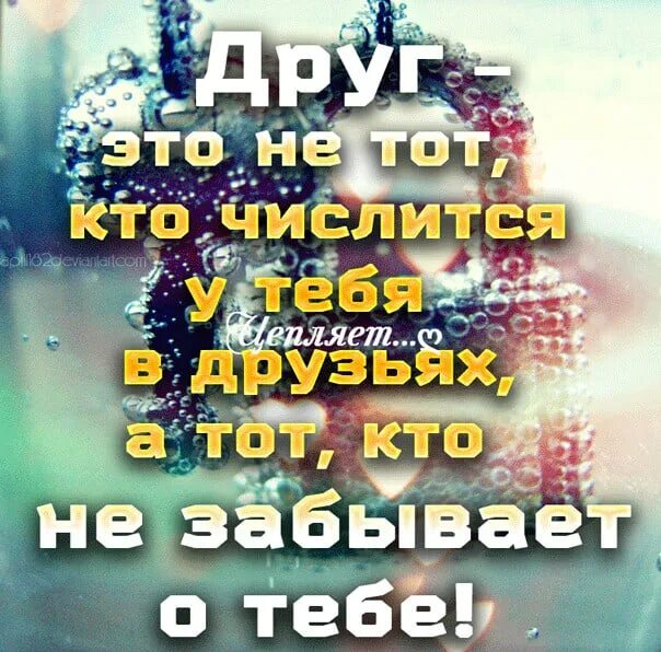 Не забудьте позвонить маме. Есенин мемы. Оркестр не забывайте что мы все вместе текст. Не забывайте друзей не забывайте звонить. Звонок маме.