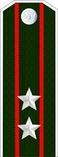 Советник 3 класса форма