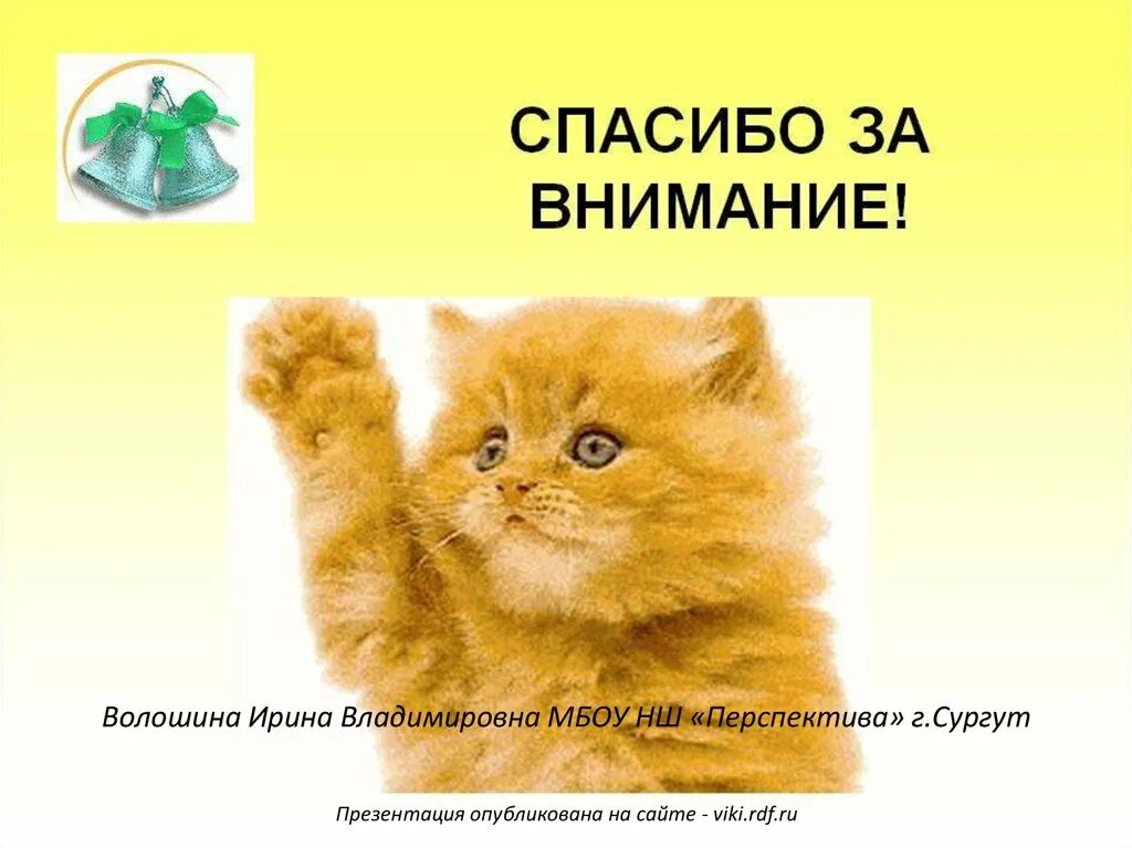 спасибо за внимание котенок.