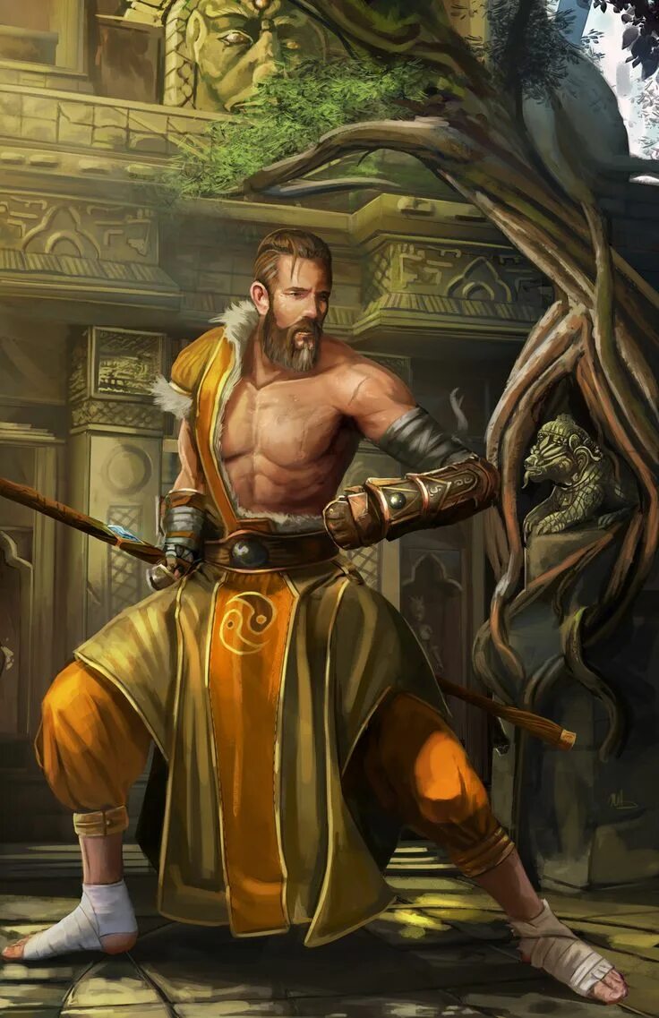 Лучший монах днд. Монах днд арт. боевой монах днд. pathfinder kingmaker монах. монах воин dnd.