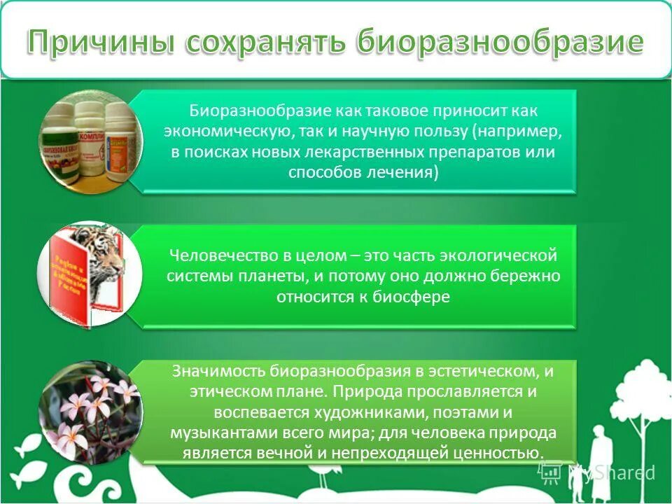 Почему важно сохранять биоразнообразие земли. Научная ценность биоразнообразия. г бейтс биоразнообразие. повышение осведомленности о биоразнообразии. экологические системы и биоразнообразие градостроительство.