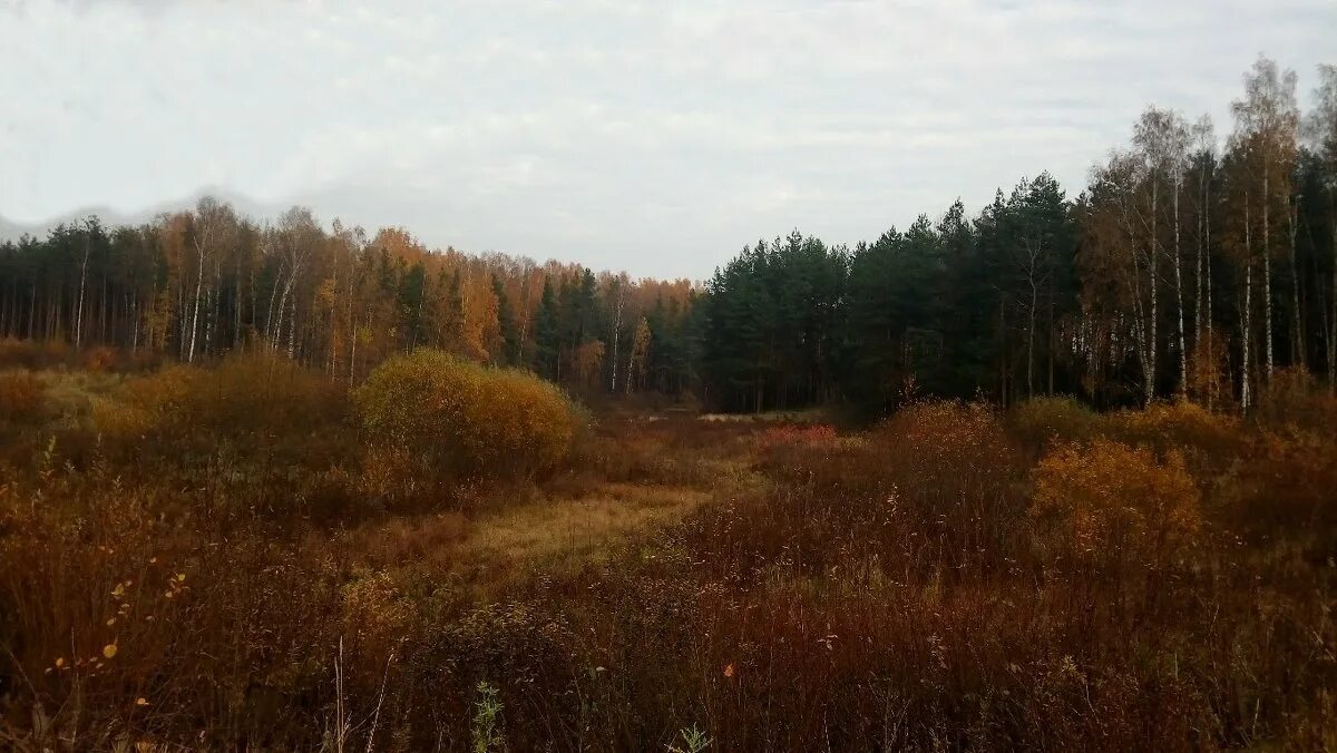 Село виднеется вдали