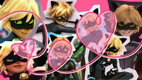 Chat Noir Wallpaper by mltrashdump on deviantart, lookwhat-wemade on tumblr Mira