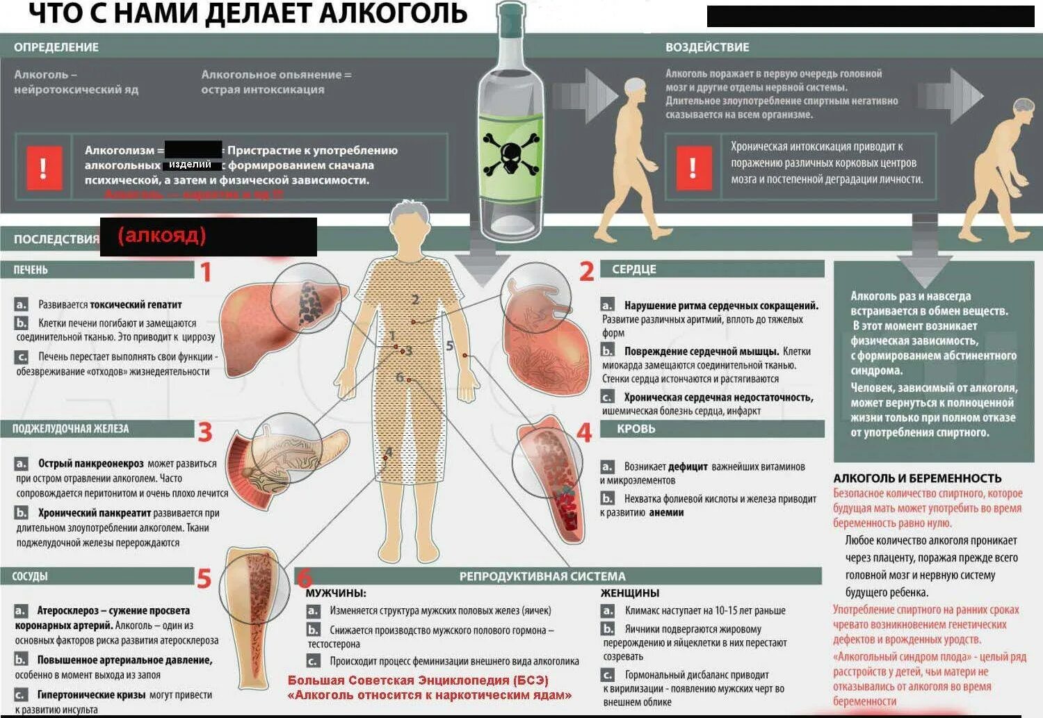 Зачем пить гормоны. Алкоголизм и его влияние на организм.