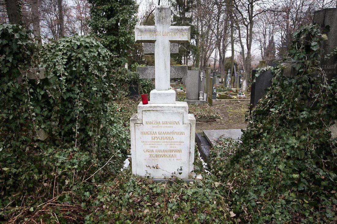 Чайковский похоронен. Могила Чайковского. Могила Петра Чайковского.