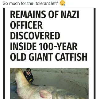 Nazi In A Fish So Much For The Tolerant Left Know Your Meme.