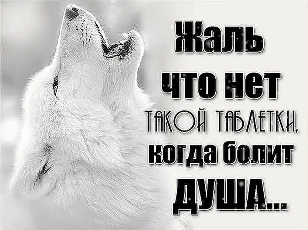 Что то мне плохо сказал раненый. Душа болит цитаты. так больно на душе. мне очень плохо душа болит. статусы про боль в душе.