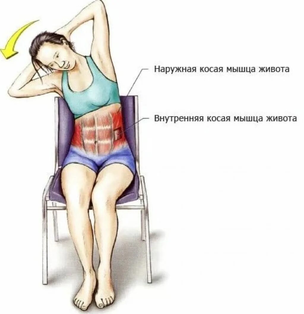 Квадратная мышца поясницы упражнения. Растяжка квадратной мышцы поясницы. Упражнения для пресса на стуле. Упражнения для мышц живота.