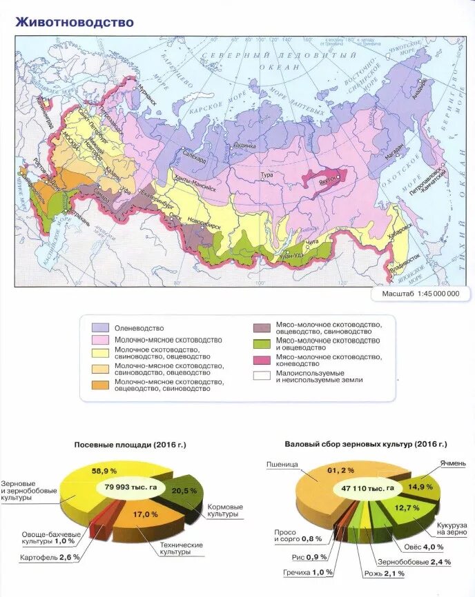 Карта сельскохозяйственных районов россии. Основные животноводческие районы России на контурной карте. Карта сельского хозяйства России 9 класс атлас. Районы животноводства в России на карте. География животноводства России карта.