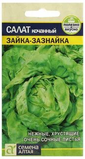 Семена алтая прямо
