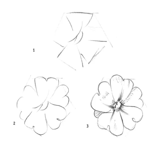 Рисование цветов поэтапно. Цветы карандашом для начинающих. Нарисовать цветы карандашом для начинающих. Поэтапное рисование цветы карандашом.
