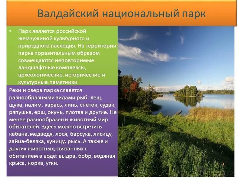 Цель создания природных парков. Валдайский национальный парк. Валдайский национальный парк природная зона. Валдайский парк в Новгородской области. Национальный парк «Валдайский» кратко.