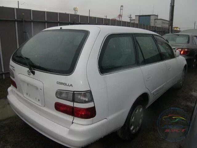 Toyota Corolla Wagon 1999. Тойота Королла 104 кузов универсал. Тойота Королла ае100 универсал. Таета Карола уневерсал 1999 100.