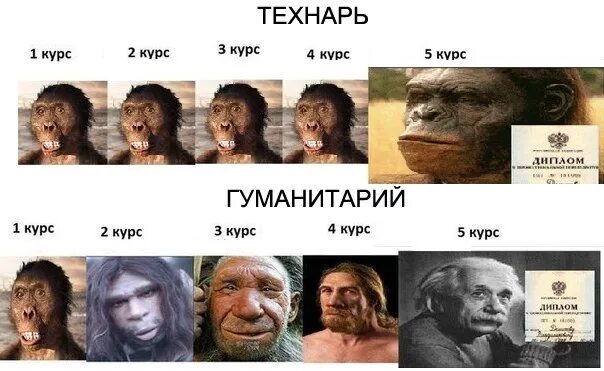 1 курс 2 курс 3 курс