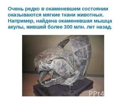 Оказаться мягкий