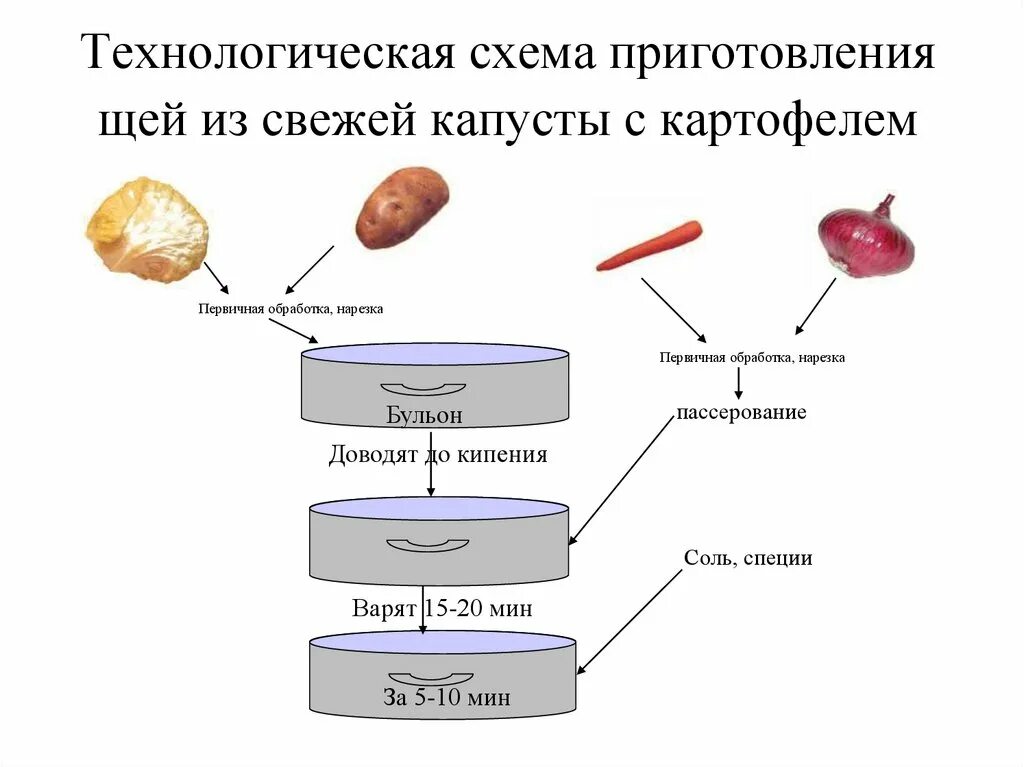 Технологическая схема щи из свежей капусты. Технологическая карта приготовления щей из свежей капусты. Составить технологическую схему приготовления щей из свежей капусты. Схема приготовления щей из квашеной капусты.