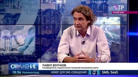 Врач волчков