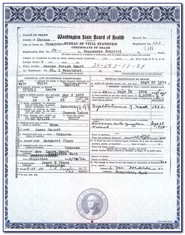 Georgia Birth Certificate. Washington вс Birth Certificate. Death Certificate Cube.