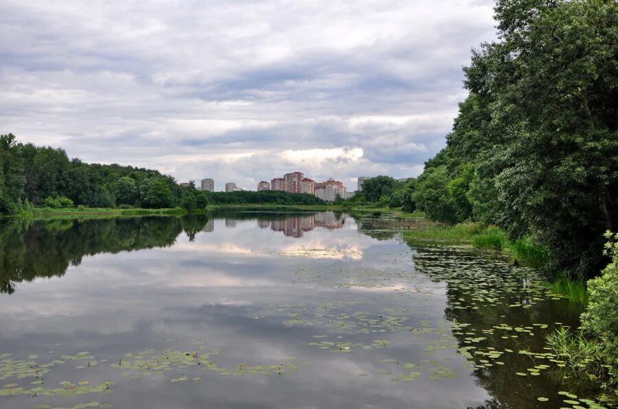 Река пехорка в балашихе. Река пехорка московская область балашиха. Пехорка 2 балашиха река. Речка пехорка в балашихе. Пехорка река люберцы.