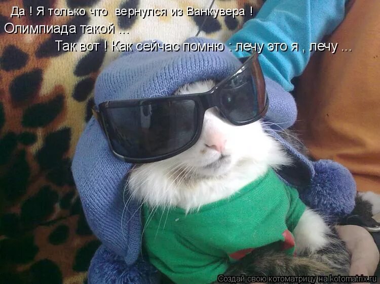 зеркальце кот. обнимашки котят. кот косячит. так такого. так такого.