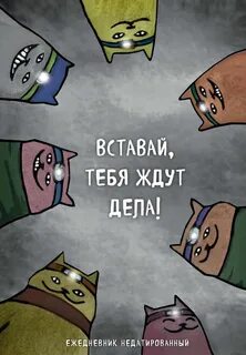Дела не ждут