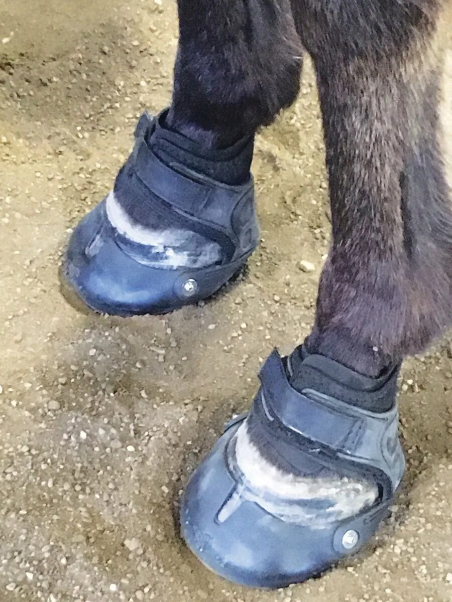 Ботинки для копыт лошади.