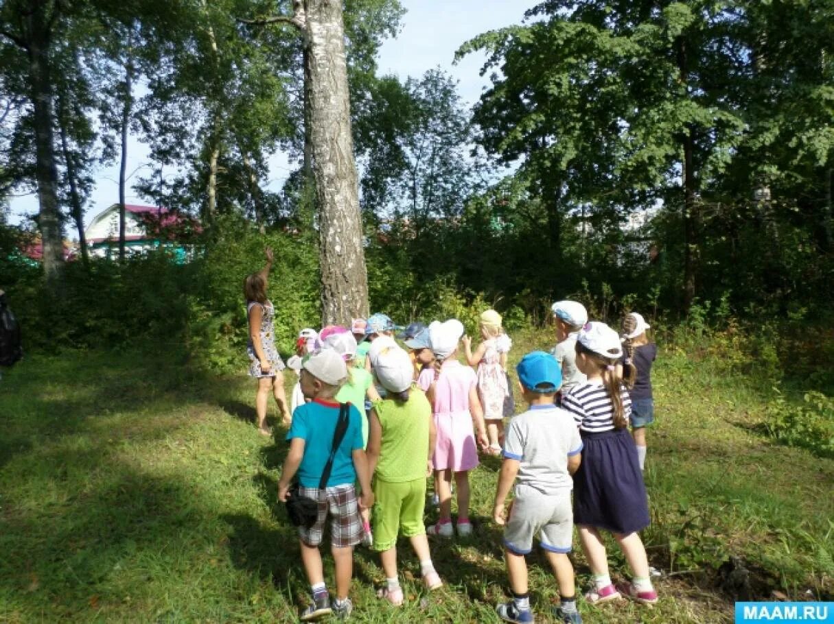 Конспект экскурсии природы. Экскурсии в доу летом. дети на экскурсии на природе. экскурсии в природу в детском саду. экскурсия в парк в доу.