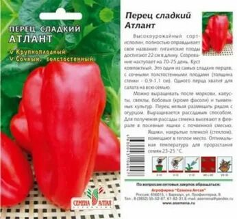 Атлант для рассады
