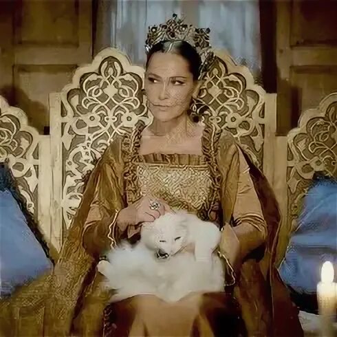 Кошка султана. Кошка Сафие Султан Елизавета. Великолепный век Империя Кёсем Елизавета. Империя Кёсем кошка Елизавета. Сафие Султан с котом.
