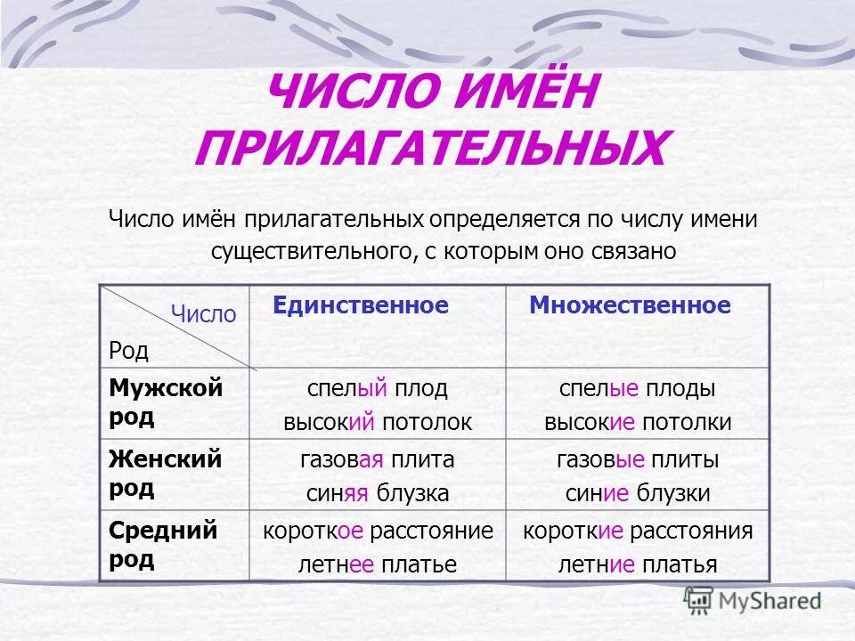 Спой существительное. Как определить род и число имен прилагательных. Как определить число прилагательного. Как определить число и род имен существительных и прилагательных. Как определить множественное число прилагательного.