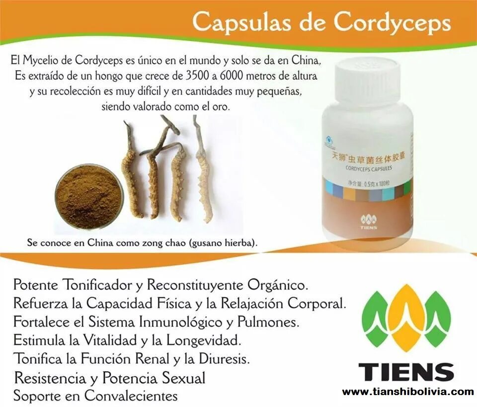 Cordyceps жидкий. Cordyceps капсулы. Кордицепс капсулы Китай. Кордицепс tiens