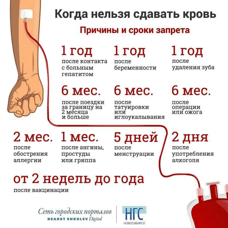Почему нельзя пить и есть перед операцией. После сдачи крови на донорство. нельзя сдавать кровь. когда нельзя сдавать кровь. как частл можно мдпватькровь.