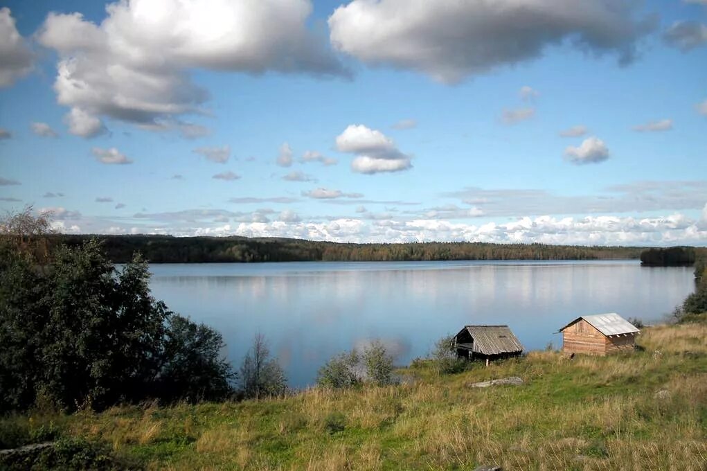 Деревня малые озера. Пруд деревня силино беларусь. Лесное озеро великие луки турбаза. Бекасово деревня озеро. Маленькое озеро.
