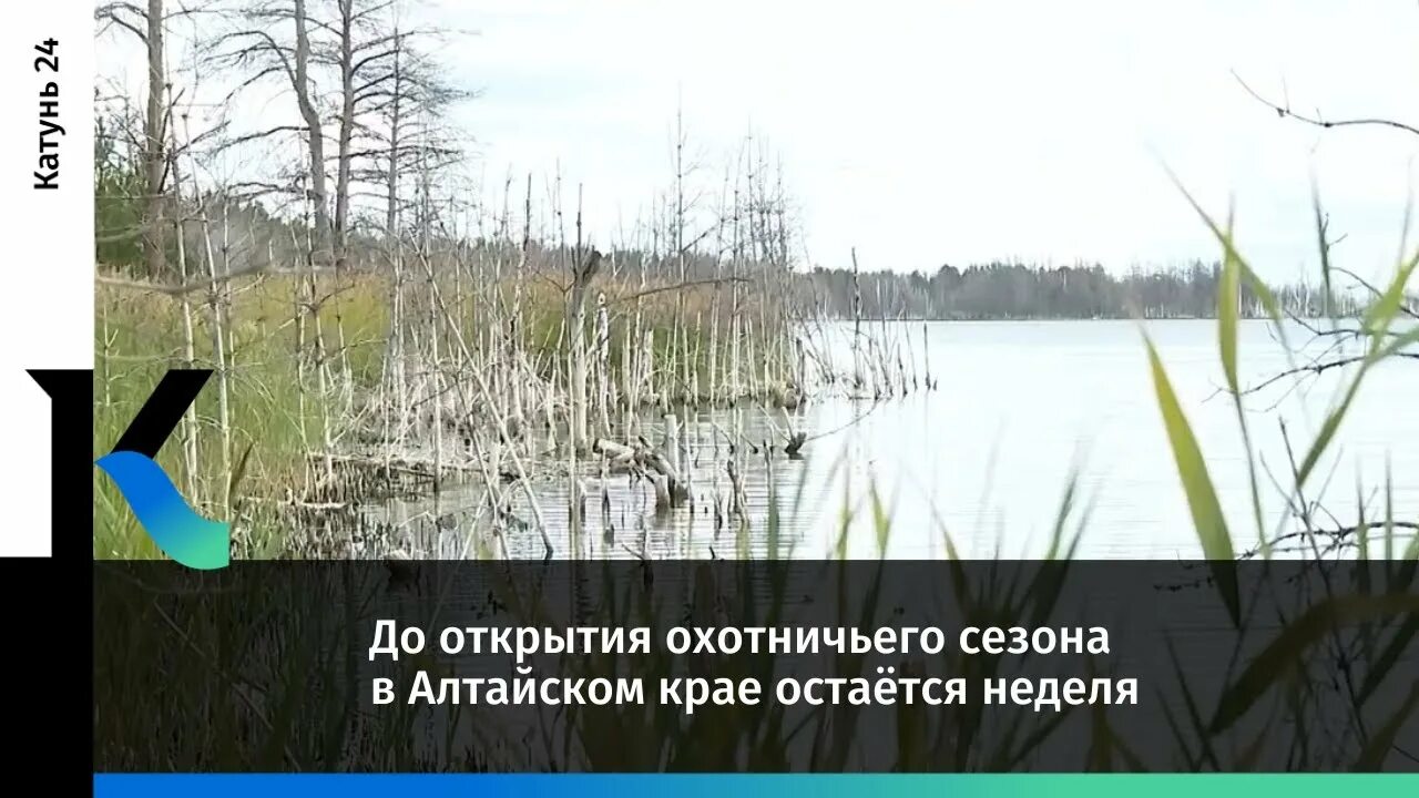 Охотничье хозяйство Алтай. Сроки охоты в алтайском крае