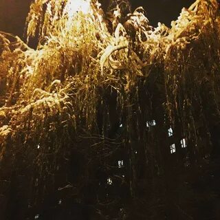 Эпидемия ветры