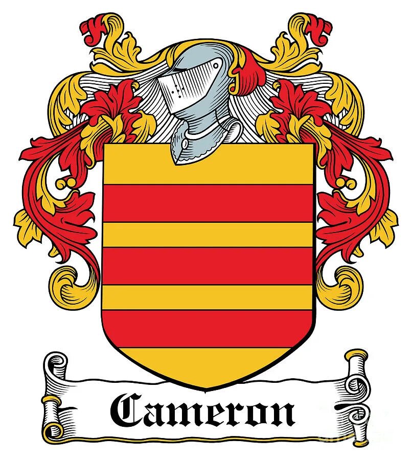 Глинки. Фотостудия да винчи киров. Дмитрий кимельман. Герб имени. Герб рода м.