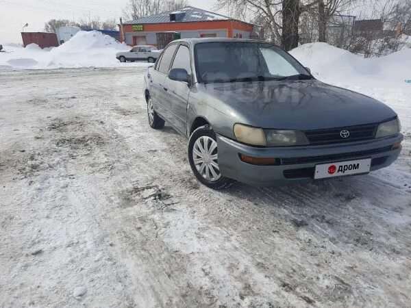 Дром алтай край. Каталог запчастей на Тойота Королла 1993 года. Алтай кузов в Барнауле.