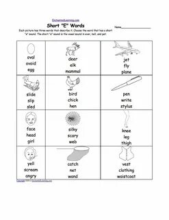 Choose the words that