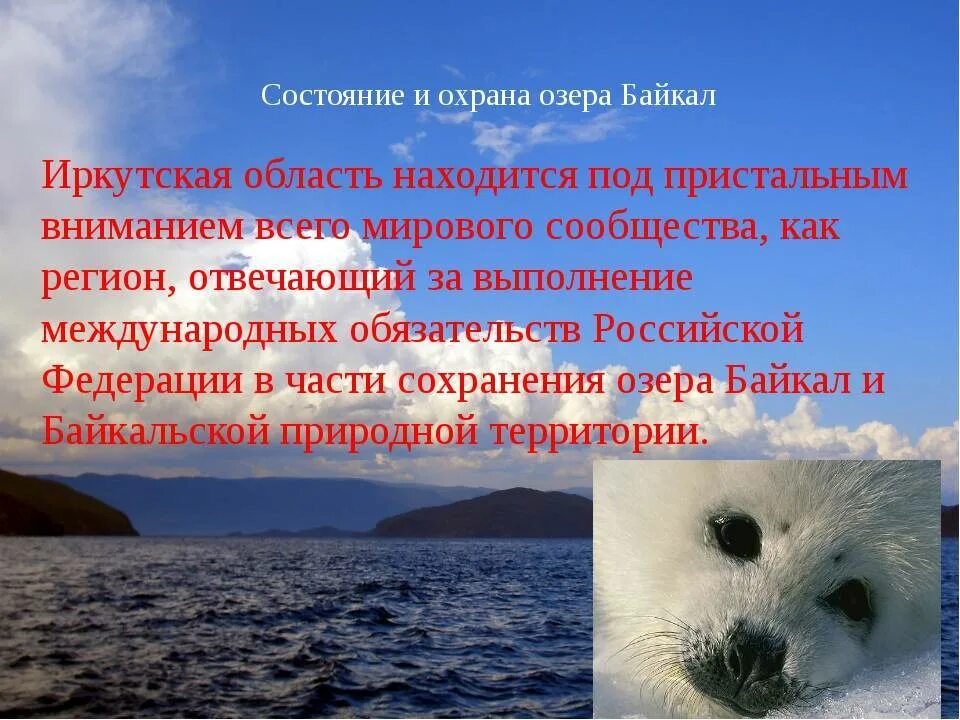 Расскажите почему байкал считается уникальным явлением природы. Охрана окружающей среды Иркутской области. Охрана природы озера Байкал. Охрана Байкала. Охрана окружающей среды Иркутской области кратко.
