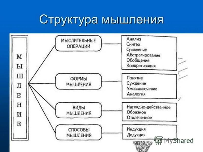 Типы структурных форм. Структура процесса мышления. Структура мышления в психологии. Структура мыслительного процесса в психологии. Схема процесса мышления.