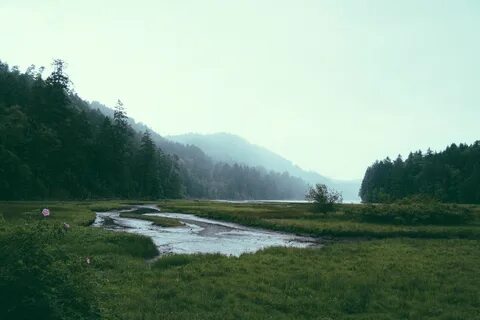 Река пала
