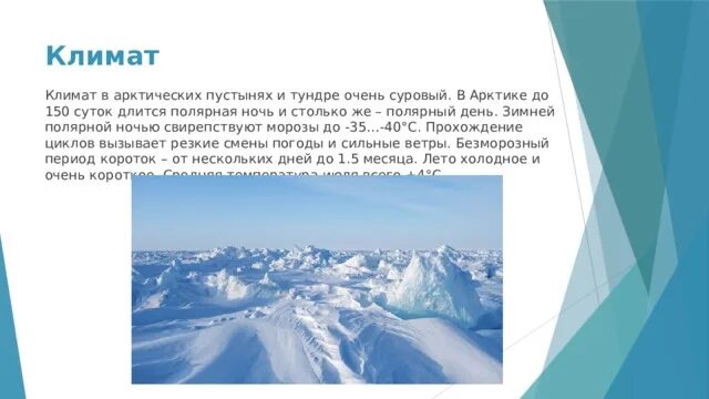 Климат в нашем городе суровый морозы начинаются. Климат в арктических пустынях. Климат арктических пустынь и тундр. Какой климат арктических пустынь. Длительность полярной ночи в арктических пустынях.