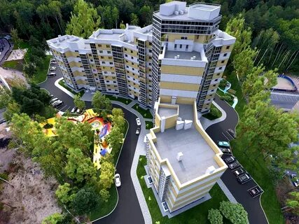 Лесная симфония